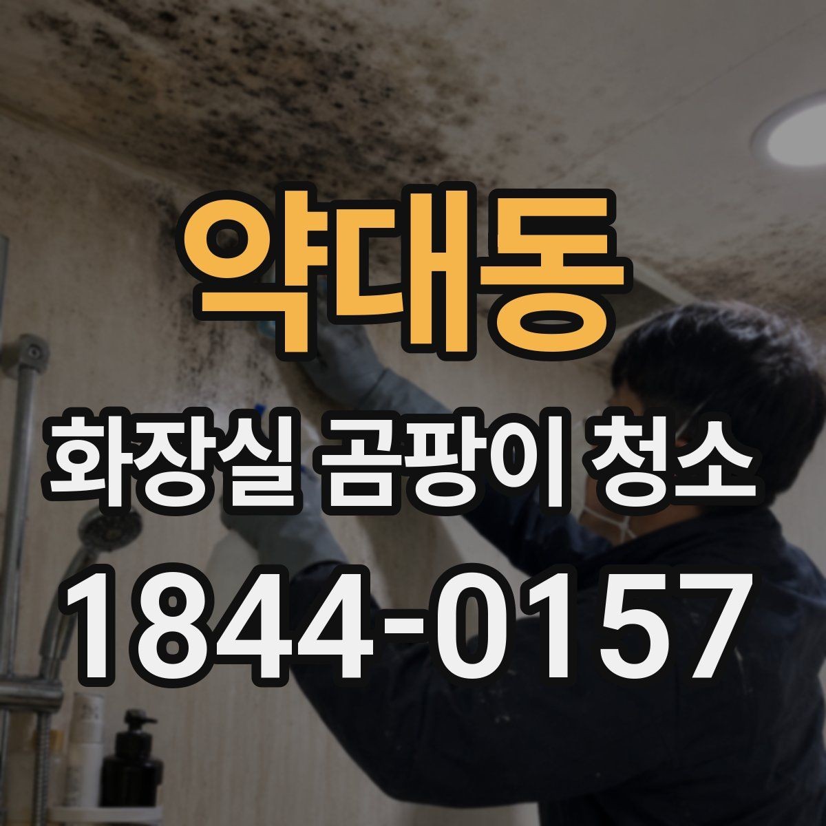 약대동 화장실 곰팡이 청소 청소 도구를 구역별로 나눠 쓰는 이유