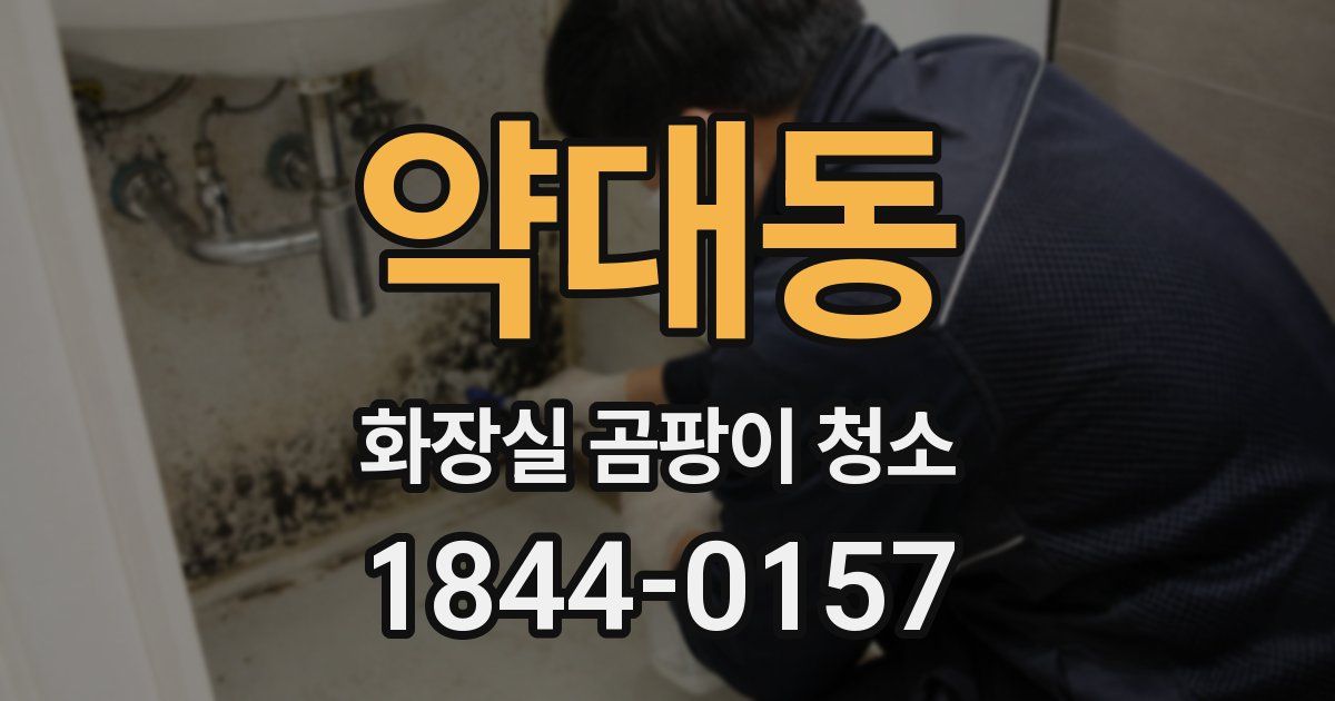 약대동 화장실 곰팡이 청소
