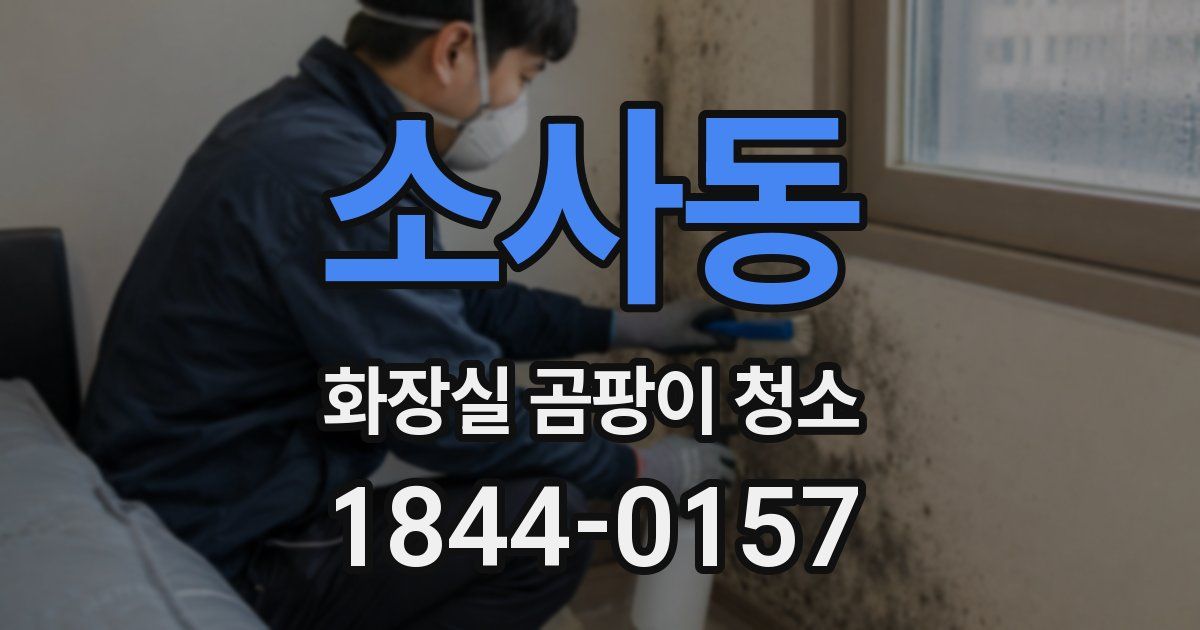 소사동 화장실 곰팡이 청소