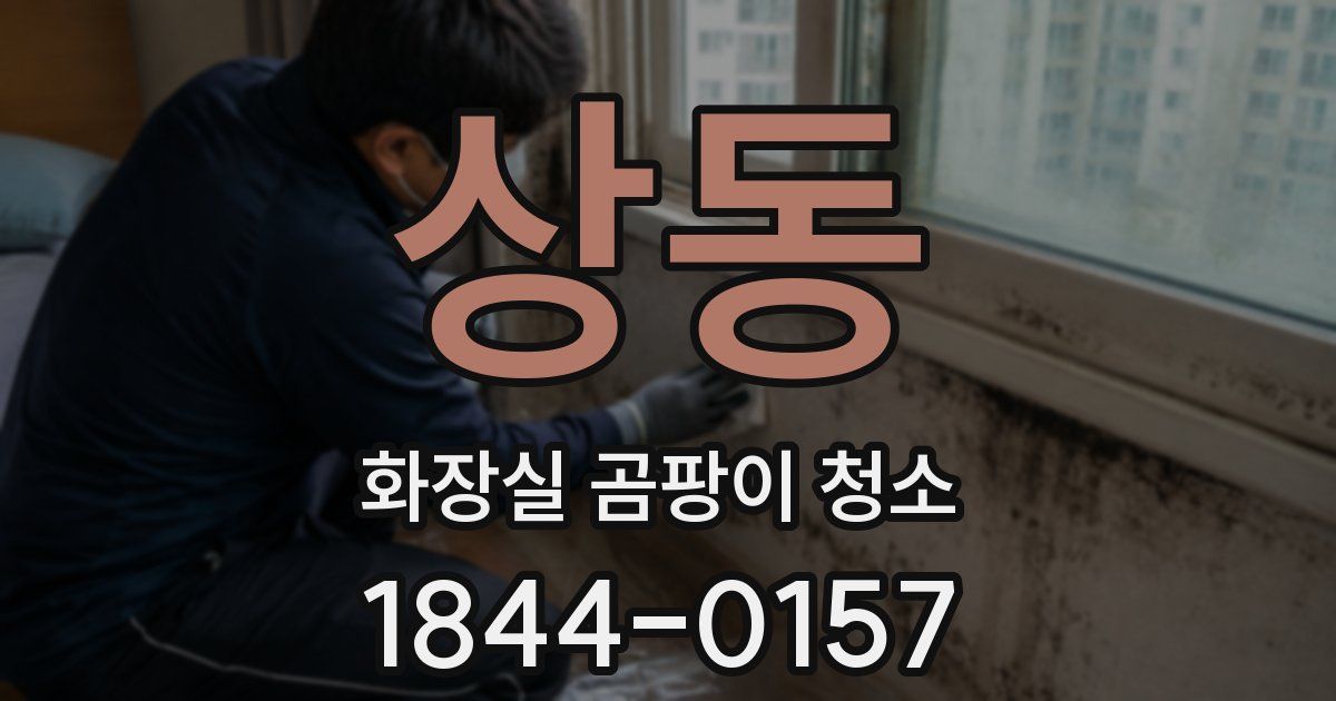 상동 화장실 곰팡이 청소