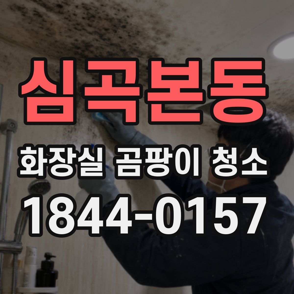 심곡본동 화장실 곰팡이 청소