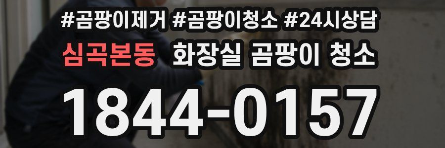 심곡본동 화장실 곰팡이 청소