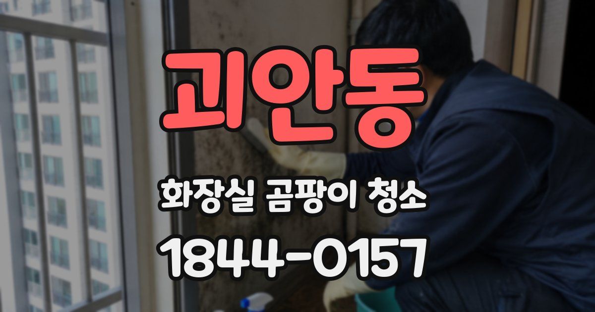 괴안동 화장실 곰팡이 청소