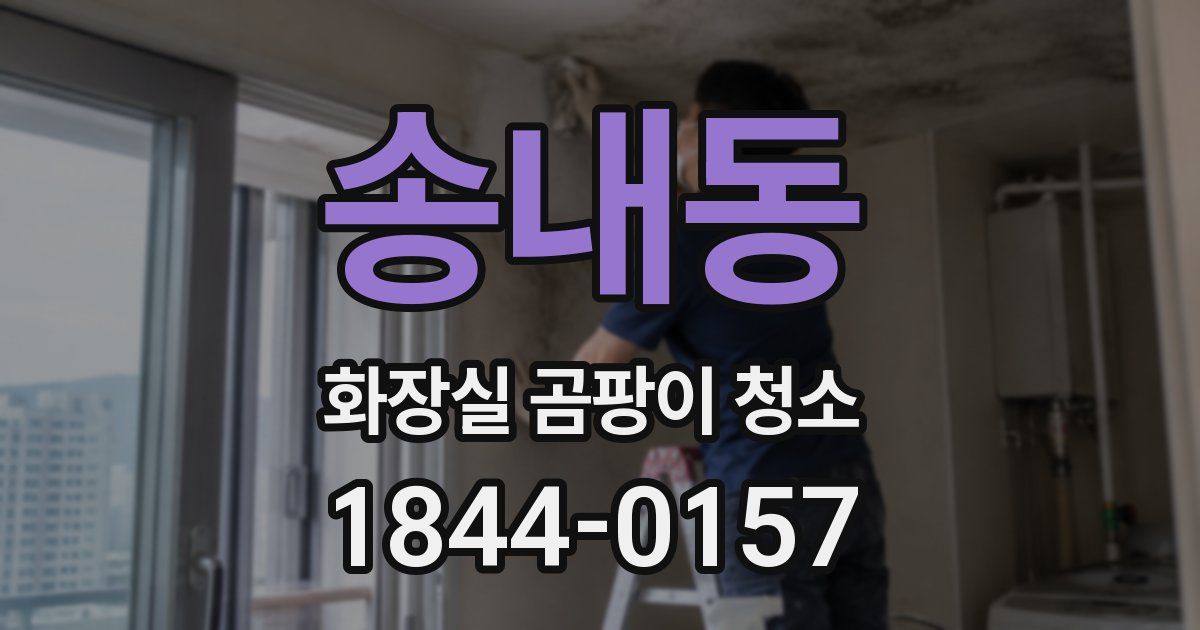 송내동 화장실 곰팡이 청소