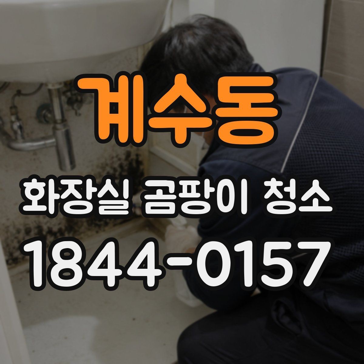 계수동 화장실 곰팡이 청소 청소 주기에 따라 달라지는 점검 항목