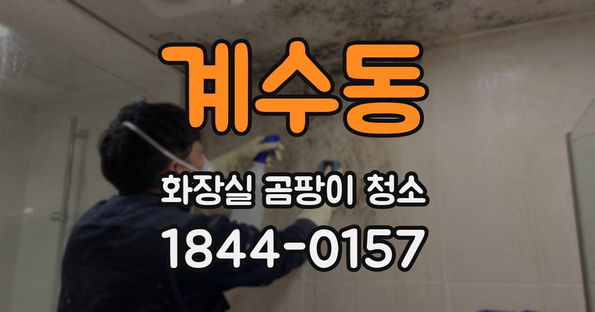 계수동 화장실 곰팡이 청소