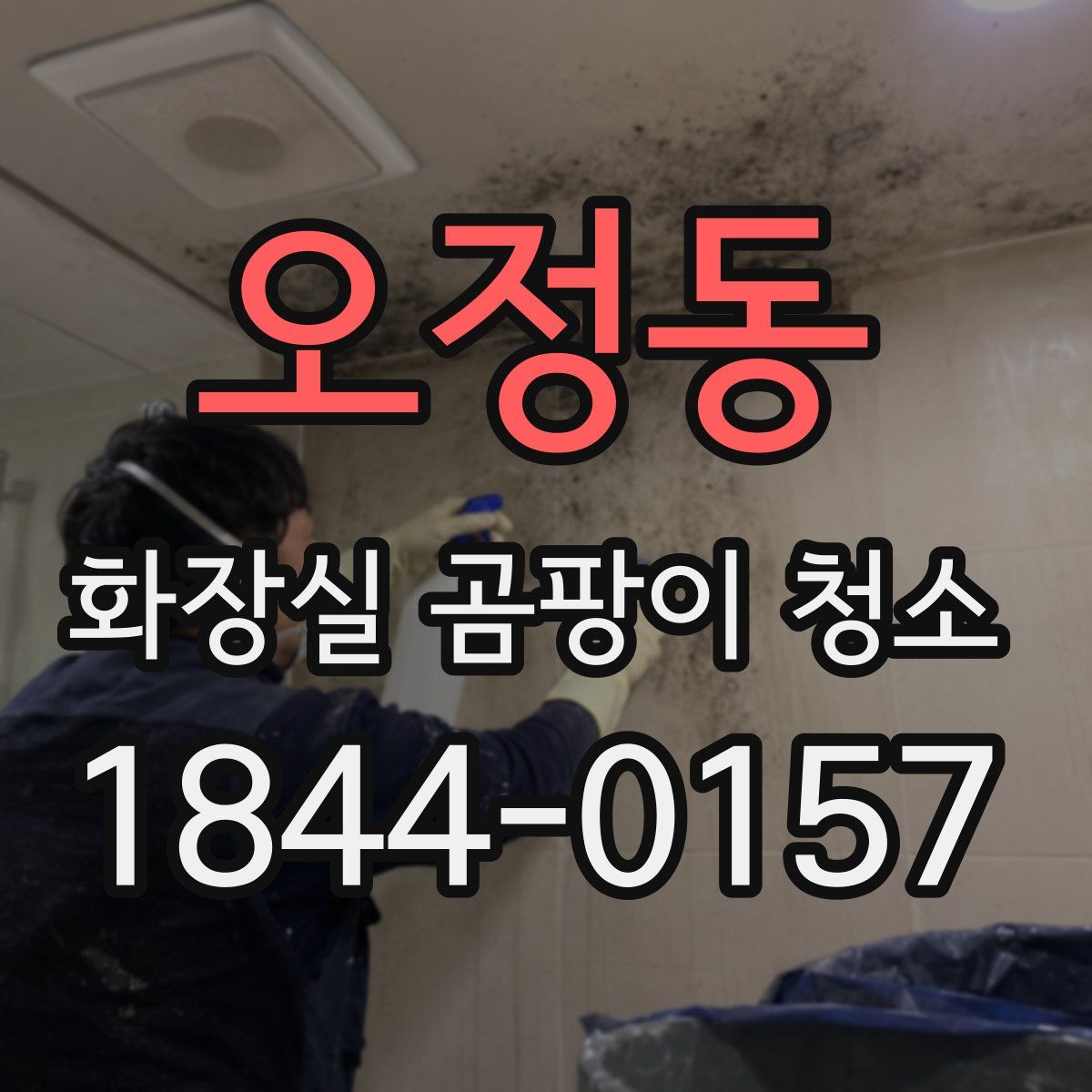 오정동 화장실 곰팡이 청소
