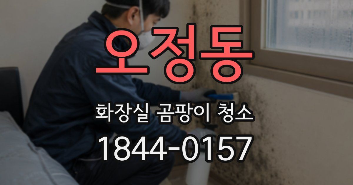 오정동 화장실 곰팡이 청소