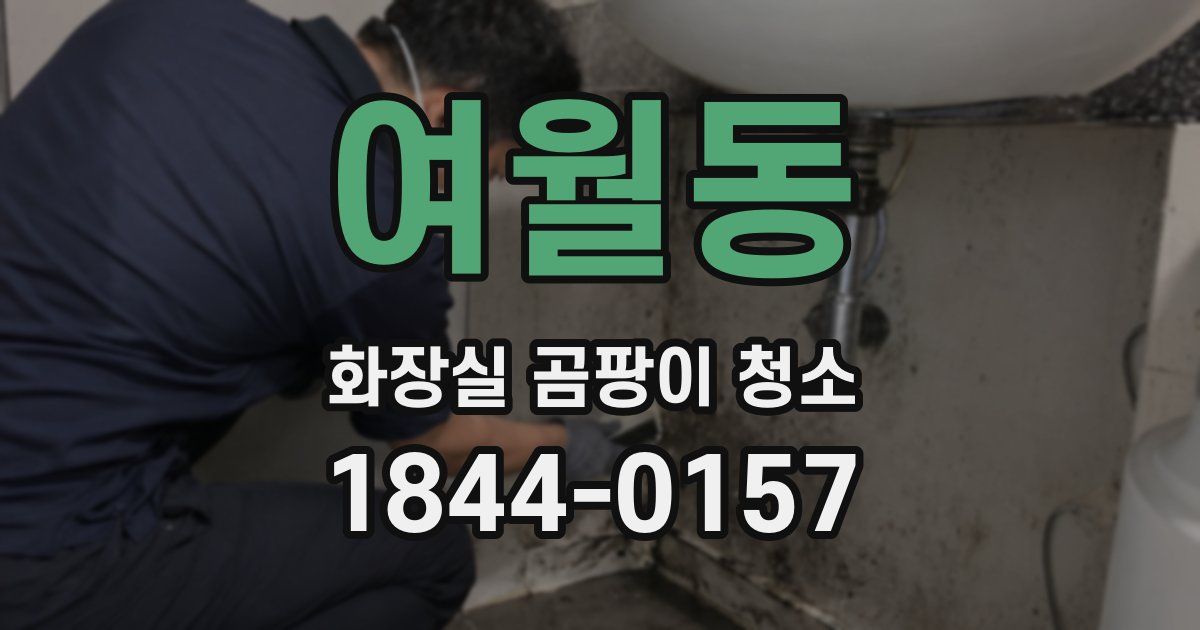 여월동 화장실 곰팡이 청소