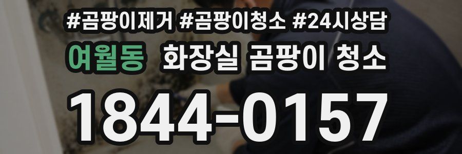 여월동 화장실 곰팡이 청소