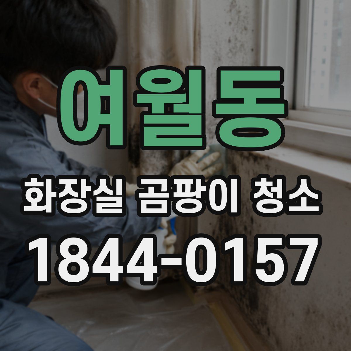 여월동 화장실 곰팡이 청소