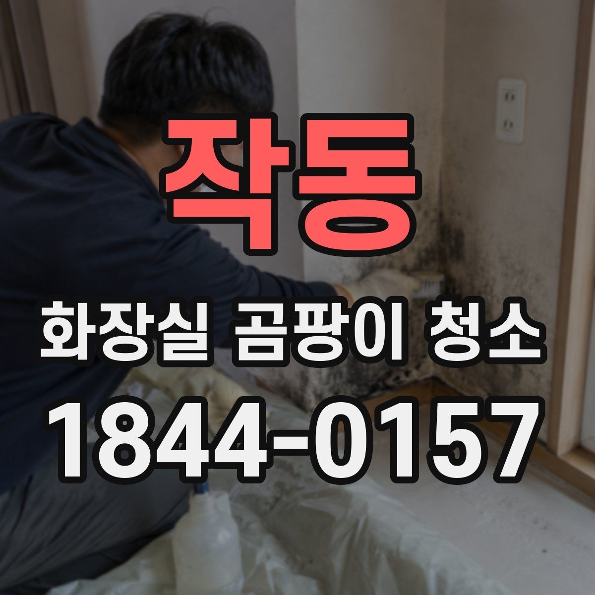 작동 화장실 곰팡이 청소 청소 후 다시 생기지 않게 점검할 습기 원인
