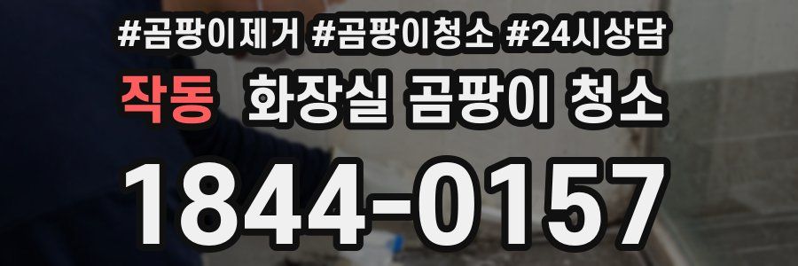 작동 화장실 곰팡이 청소