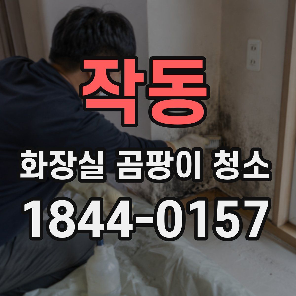 작동 화장실 곰팡이 청소