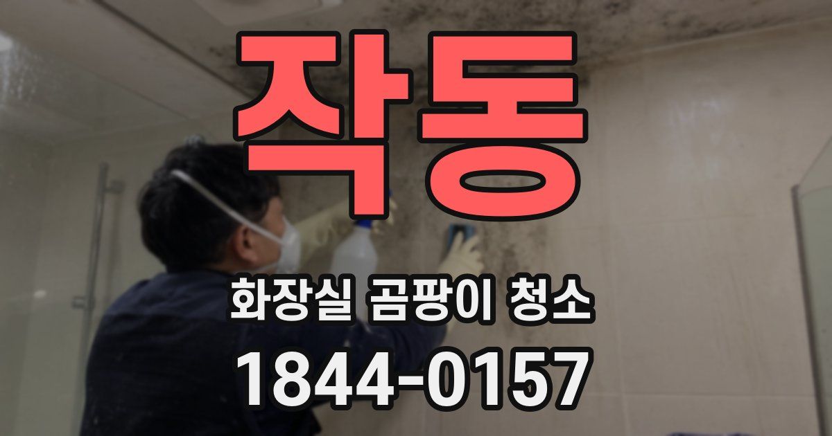 작동 화장실 곰팡이 청소