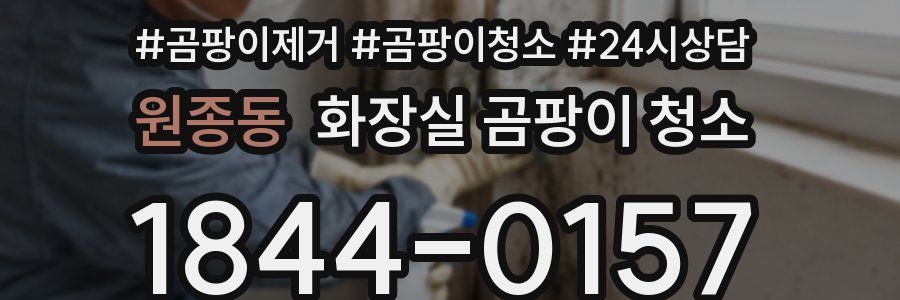 원종동 화장실 곰팡이 청소