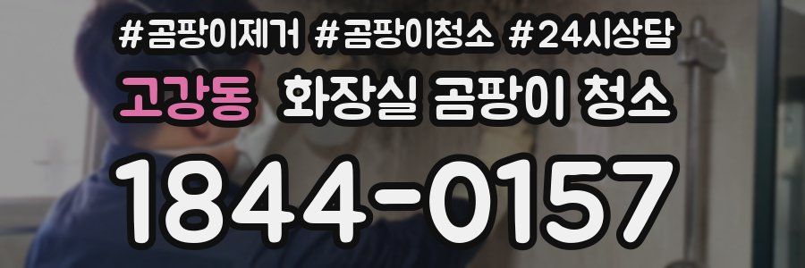 고강동 화장실 곰팡이 청소