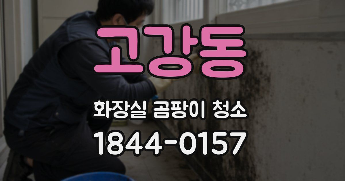 고강동 화장실 곰팡이 청소