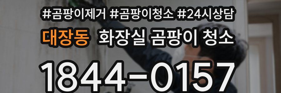 대장동 화장실 곰팡이 청소