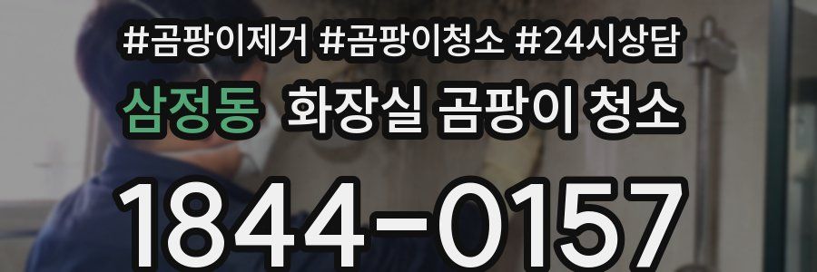 삼정동 화장실 곰팡이 청소