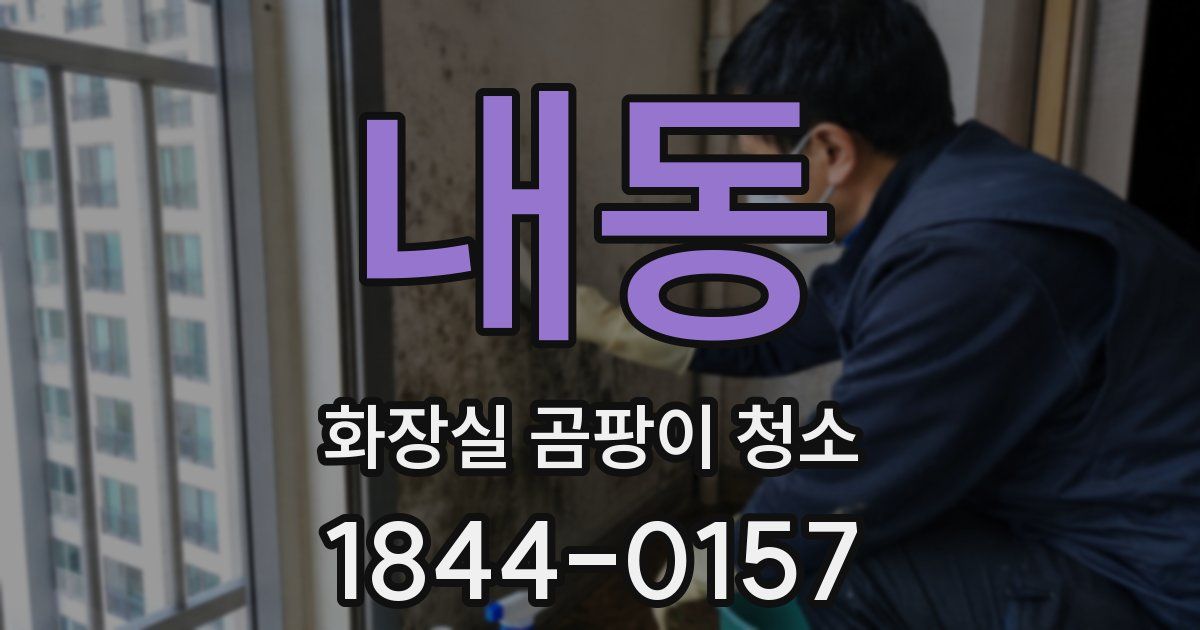 내동 화장실 곰팡이 청소