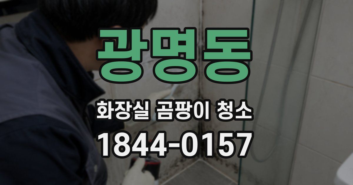 광명동 화장실 곰팡이 청소