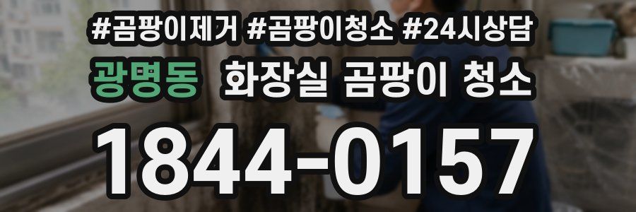 광명동 화장실 곰팡이 청소