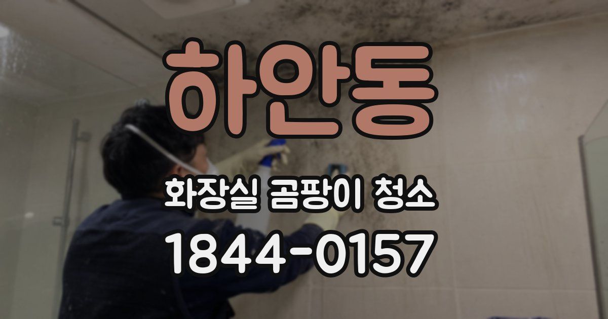 하안동 화장실 곰팡이 청소
