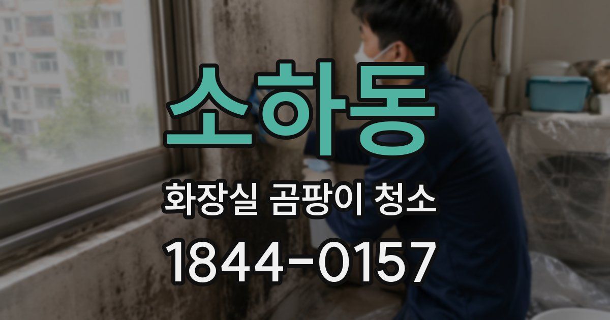 소하동 화장실 곰팡이 청소