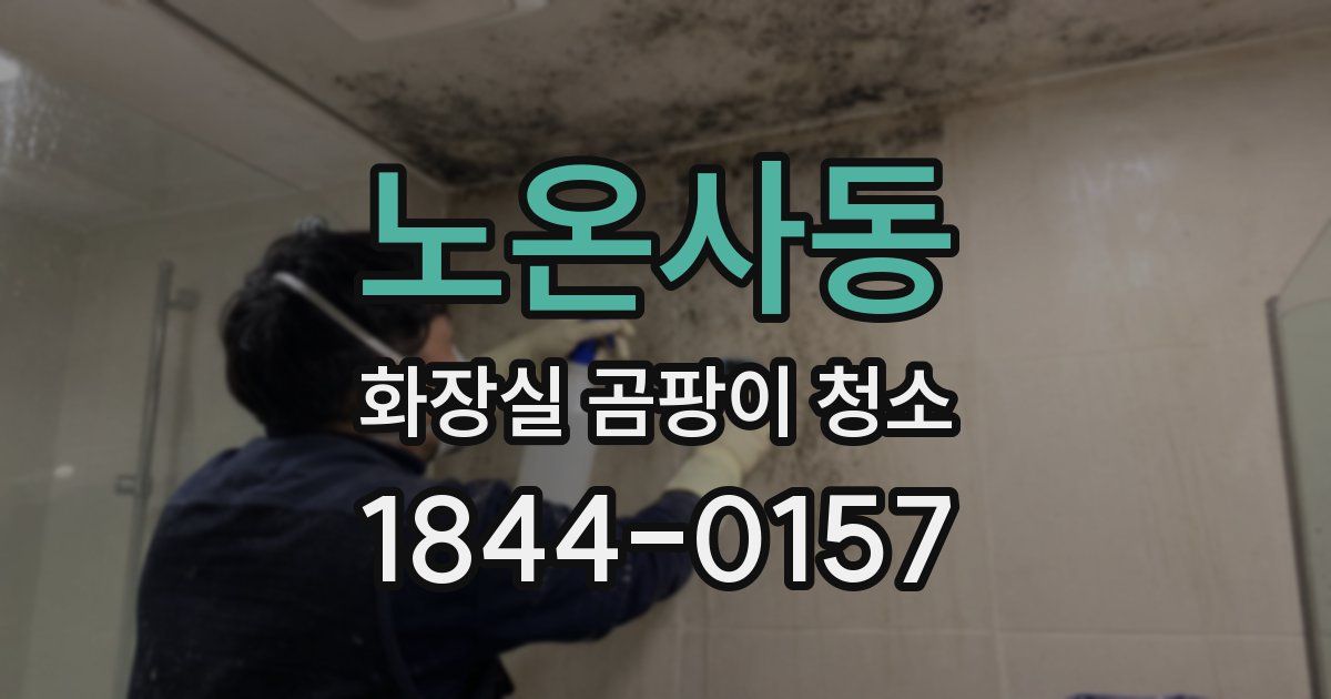노온사동 화장실 곰팡이 청소