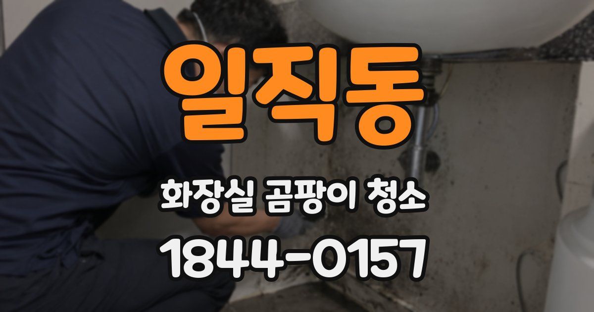 일직동 화장실 곰팡이 청소