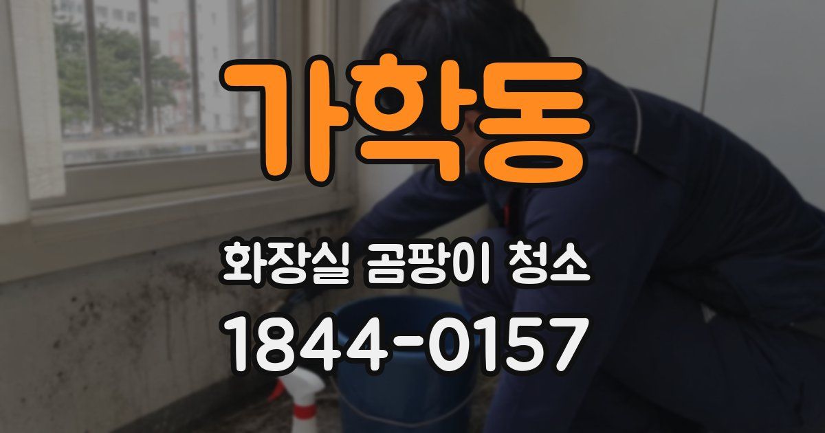 가학동 화장실 곰팡이 청소