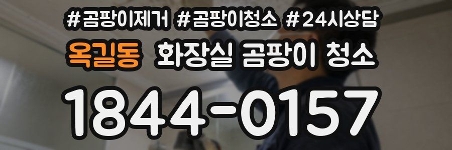 옥길동 화장실 곰팡이 청소