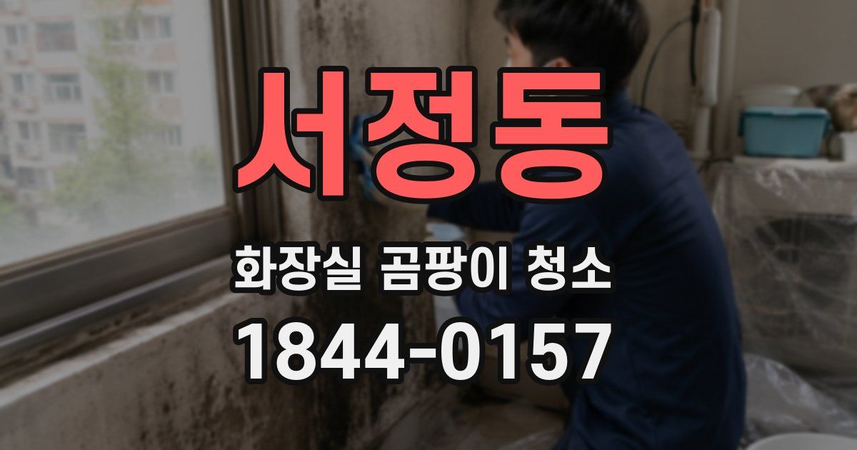 서정동 화장실 곰팡이 청소