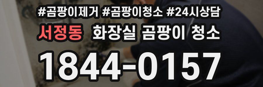 서정동 화장실 곰팡이 청소