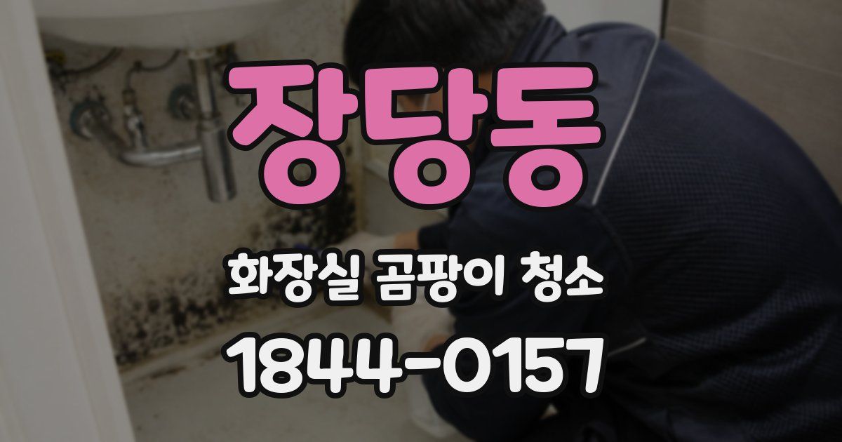 장당동 화장실 곰팡이 청소