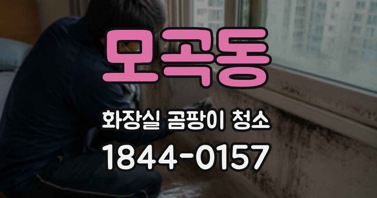 모곡동 화장실 곰팡이 청소