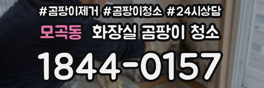모곡동 화장실 곰팡이 청소
