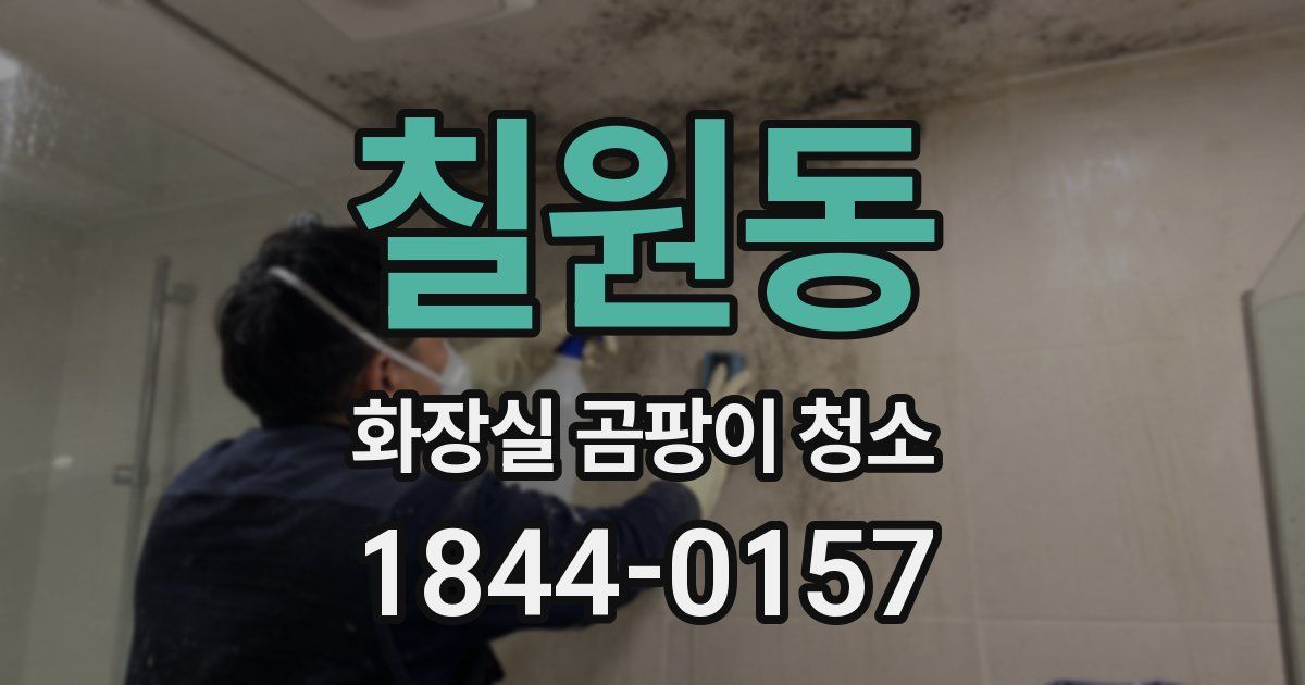 칠원동 화장실 곰팡이 청소