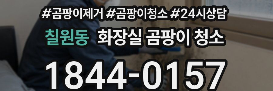 칠원동 화장실 곰팡이 청소