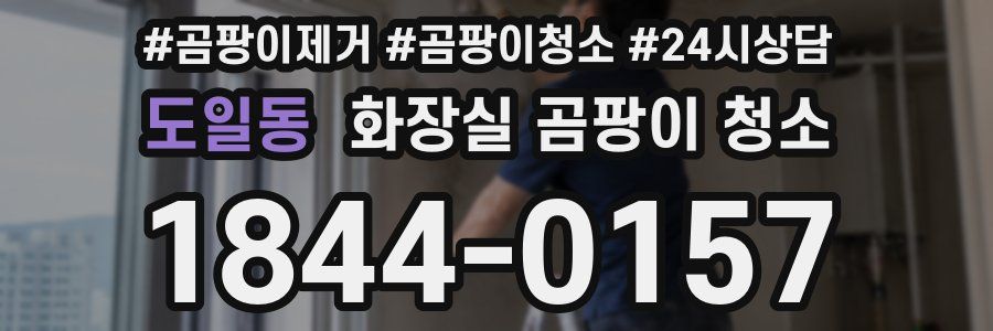 도일동 화장실 곰팡이 청소
