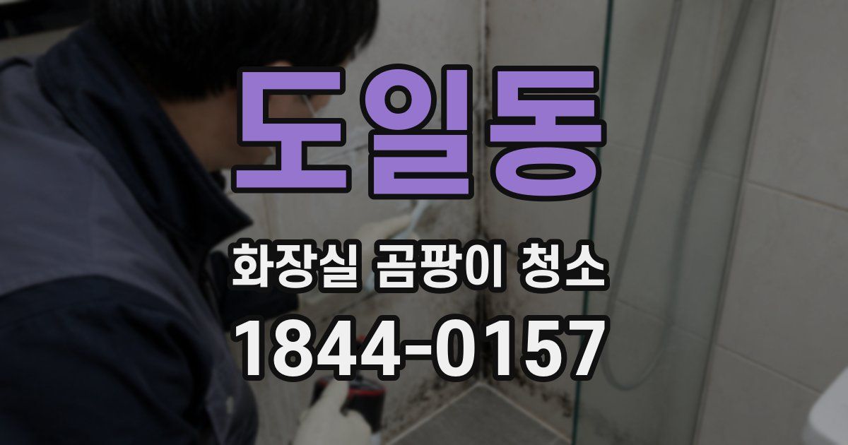 도일동 화장실 곰팡이 청소