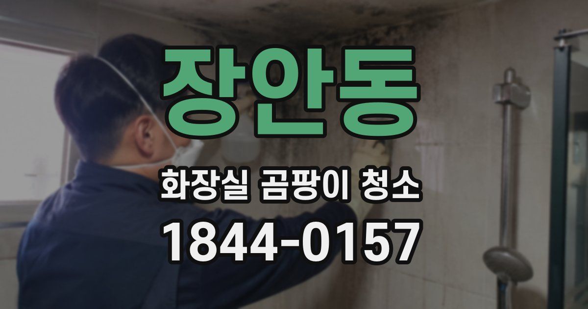 장안동 화장실 곰팡이 청소