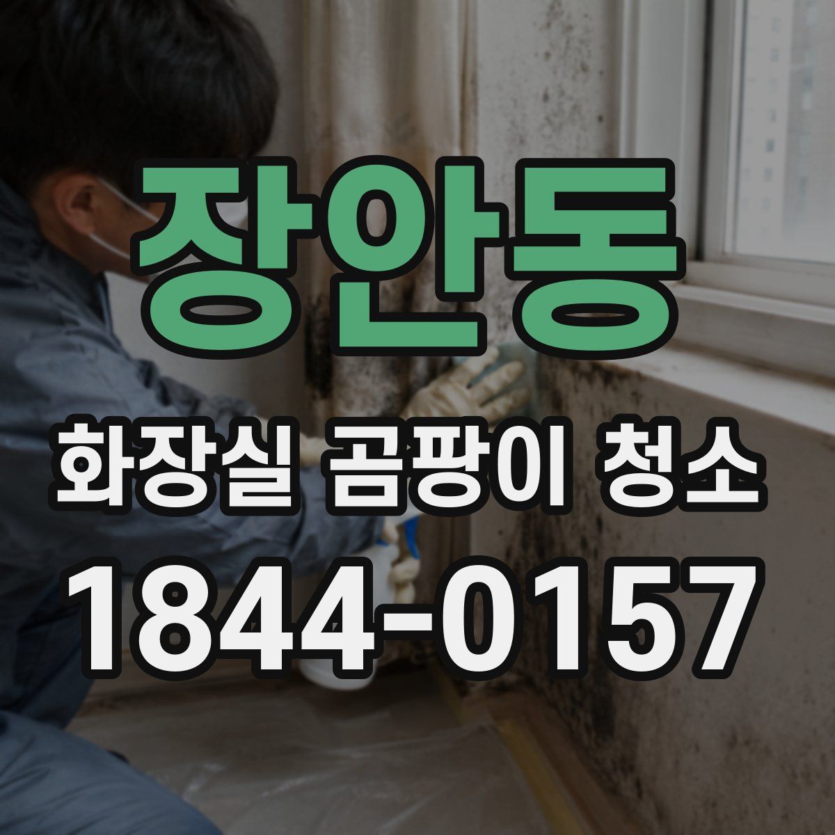 장안동 화장실 곰팡이 청소