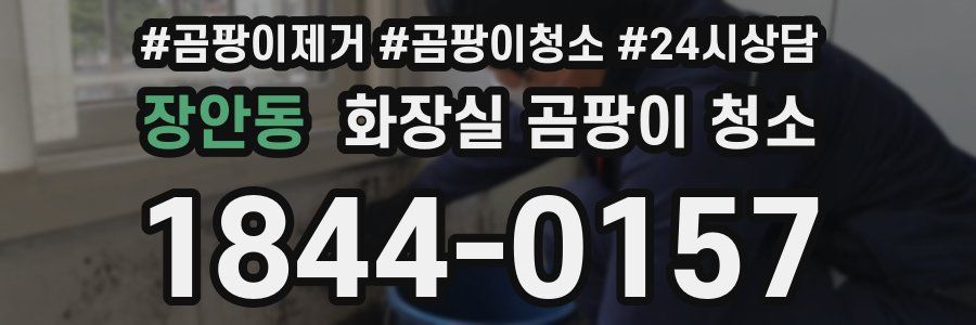 장안동 화장실 곰팡이 청소
