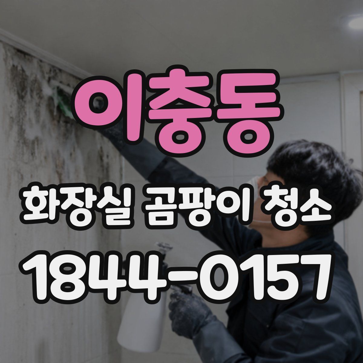 이충동 화장실 곰팡이 청소