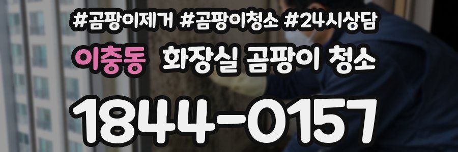 이충동 화장실 곰팡이 청소