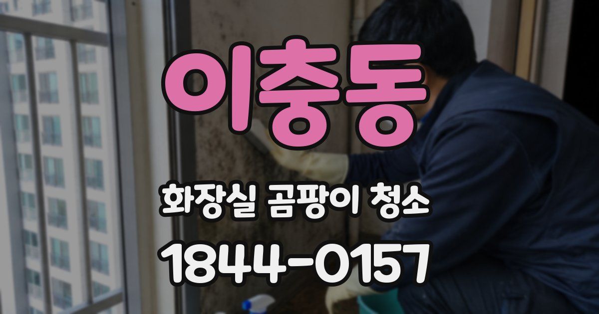 이충동 화장실 곰팡이 청소