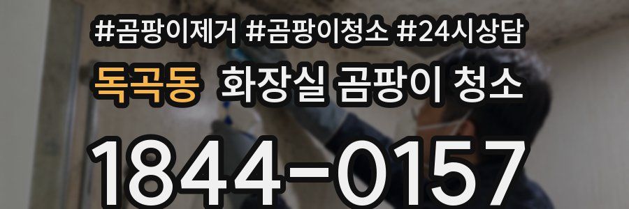 독곡동 화장실 곰팡이 청소