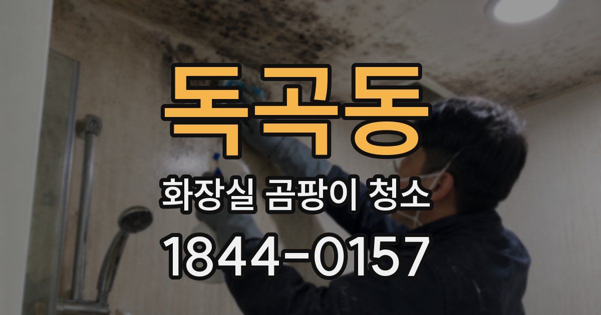 독곡동 화장실 곰팡이 청소
